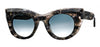 Climaxxxy - THIERRY LASRY