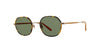 Norfolk Sun - GARRETT LEIGHT